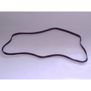 CORREIA CARRO STYLUS COLOR EPSON